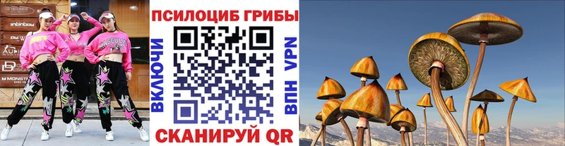 где продают наркотики  Туапсе  Псилоцибиновые грибы Magic Shrooms 