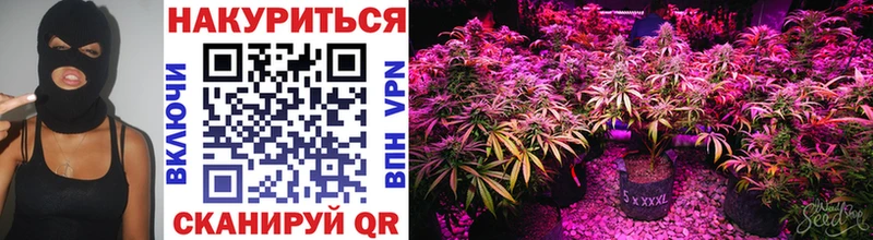 MEGA рабочий сайт  Туапсе  Бошки марихуана THC 21% 